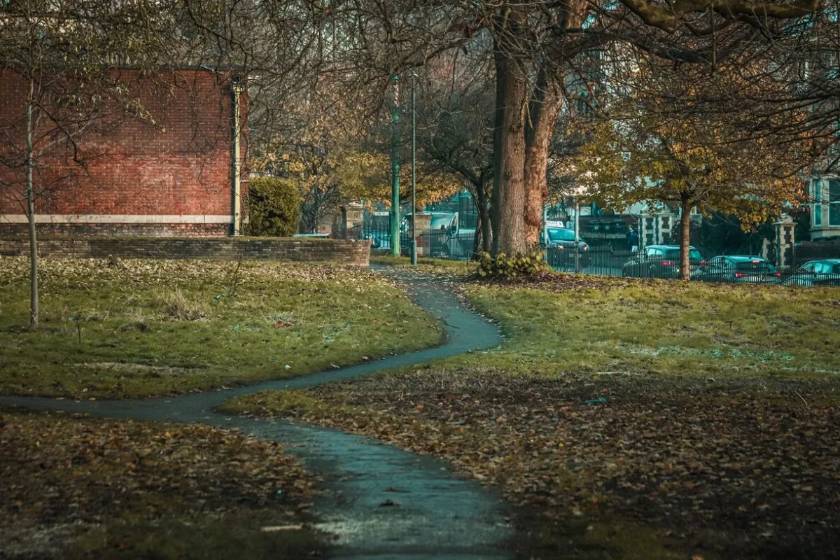Wydeptana ścieżka przecinająca trawnik