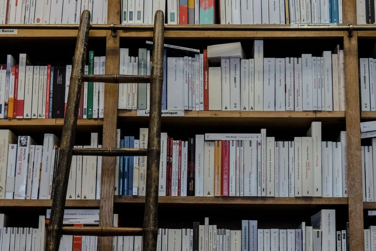 Regały biblioteczne z drewnianą drabiną
