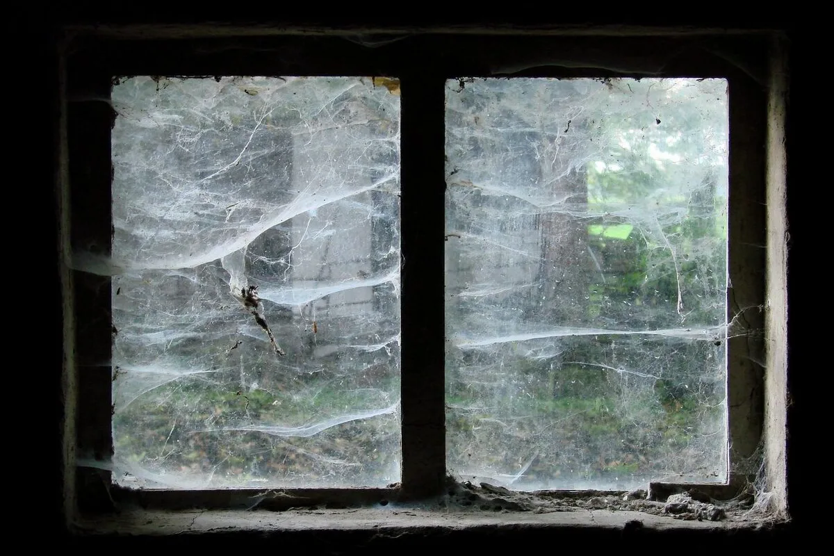 Zapajęczone okno w opuszczonym budynku