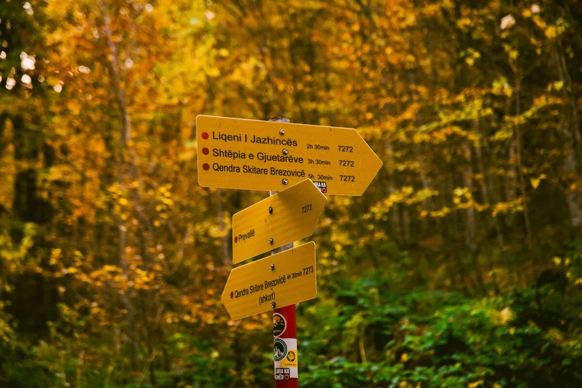 Drewniane drogowskazy wskazujące różne kierunki